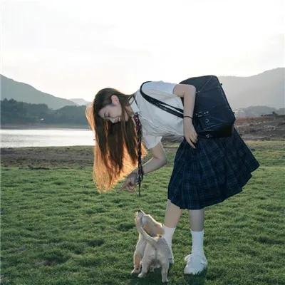 石纪元第四季